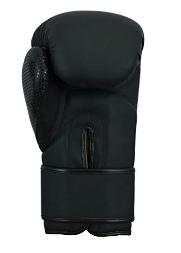 EVO Boxing Gloves (Black EVO Matt, 10 OZ)