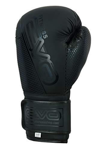EVO Boxing Gloves (Black EVO Matt, 10 OZ)