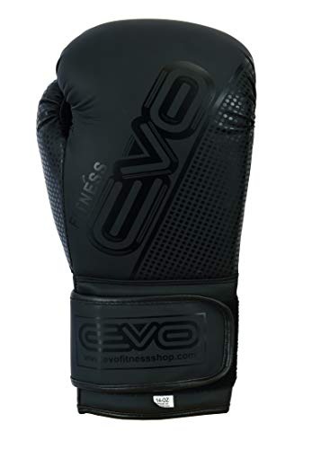 EVO Boxing Gloves (Black EVO Matt, 10 OZ)