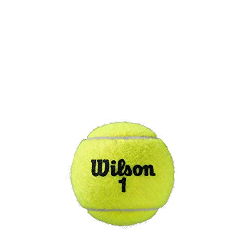 Wilson Unisex-Adult Roland Garros All Court Tennis Ball, Yellow