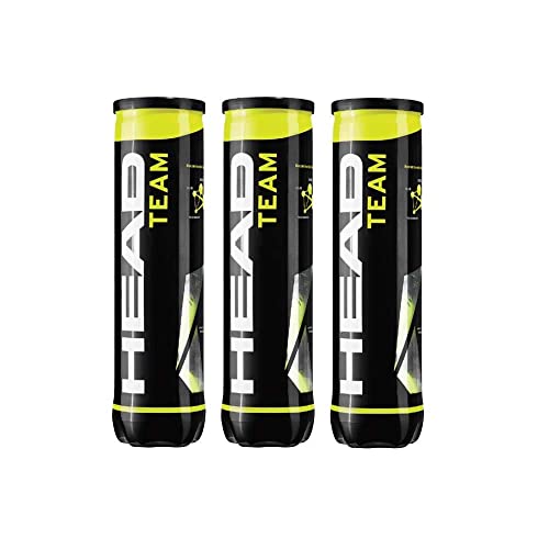 HEAD Team Tennis Balls - 1 Dozen