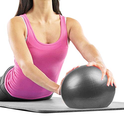 ZHIYE Mini Pilates Ball Yoga Small Exercise Ball Core Fitness Bender, Yoga, Stability, Barre, Training Physical Therapy Anti-Slip Swiss Ball Gym Home