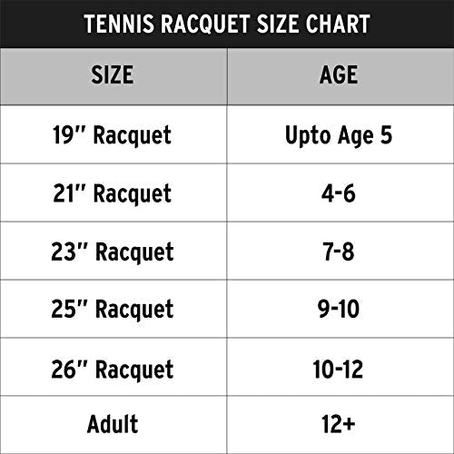 HEAD Ti S6 Tennis Racket Titanium - Grey, L4