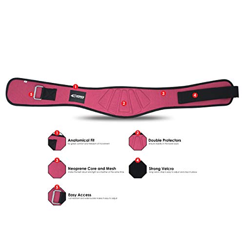 3WINGS Bodybuilding Belt for Gym Training - Back Support - Neoprene Lumber Pain Fitness Exercise - Good for Weight Lifting, Functional Training, Powerlifting (S, Pink)