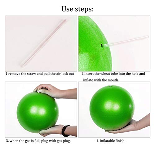 ZHIYE Mini Pilates Ball Yoga Small Exercise Ball Core Fitness Bender, Yoga, Stability, Barre, Training Physical Therapy Anti-Slip Swiss Ball Gym Home