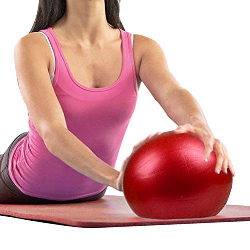 ZHIYE Mini Pilates Ball Yoga Small Exercise Ball Core Fitness Bender, Yoga, Stability, Barre, Training Physical Therapy Anti-Slip Swiss Ball Gym Home