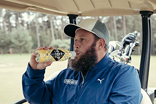 MGP Pineapple Hydration Sports Recovery Drink with Added Vitamins 500ml x 12 Multi Pack, Low Sugar, Low Carbs, Fat Free, Gluten Free, Vegan Friendly,Vitamin C, B3, B5, B1, B6, B12