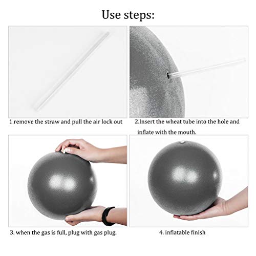 ZHIYE Mini Pilates Ball Yoga Small Exercise Ball Core Fitness Bender, Yoga, Stability, Barre, Training Physical Therapy Anti-Slip Swiss Ball Gym Home