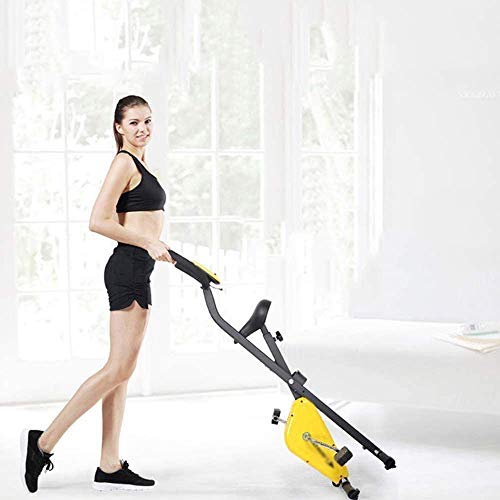Exercise Bike for Home Use Folding Light Weight Cycling Spin Bike,Fitness Equipment Portable Arm Home Pedal Exerciser Gym Leg Cardio Trainer