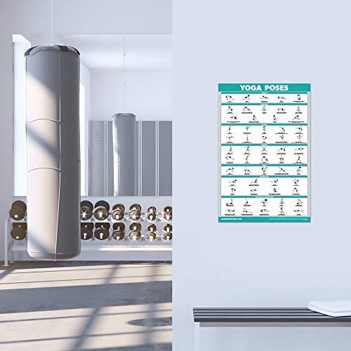 11 Pack - Exercise Poster Set: Dumbbell, Suspension, Kettlebell, Resistance Bands, Stretching, Bodyweight, Barbell, Yoga, Exercise Ball, Muscular System, Medicine Ball (LAMINATED, 18