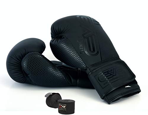 EVO Boxing Gloves (Black EVO Matt, 10 OZ)