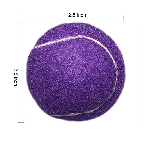 URBEST Tennis Balls, 12 Packs Training Tennis Balls Practice Balls for Novice Player, Pet Dog Playing Balls with Mesh Carry Bag (Purple)
