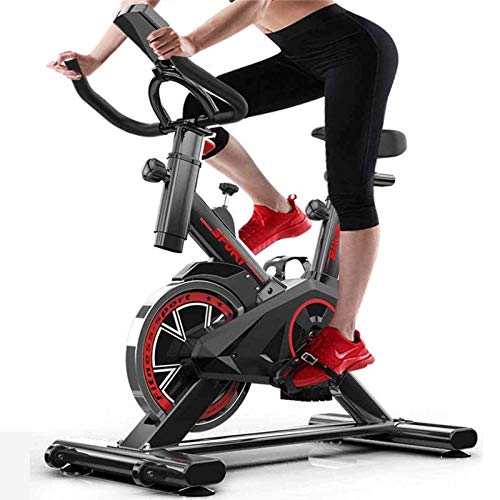 Lloow Excersize Bike, Indoor Cycling Bike Smooth Quiet Driven Protection, Spin Cycles Excercise Machines For Home Fitness Training With Adjustable Aimant Resistance, Monitor Reads Exercise Bikes