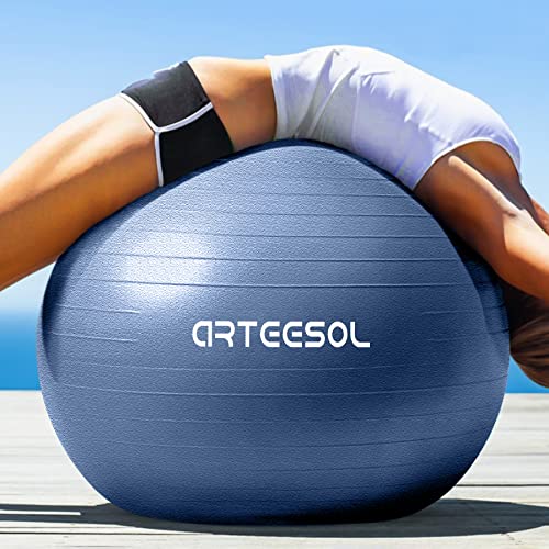 Blackace arteesol Exercise Ball 45cm / 55cm / 65cm / 75cm Anti-burst Anti-slip Yoga Swiss Ball Birthing Ball Quick Pump Fitness Gym Yoga Pilates Core Training Physical Therapy