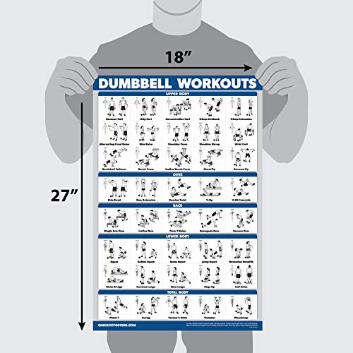 11 Pack - Exercise Poster Set: Dumbbell, Suspension, Kettlebell, Resistance Bands, Stretching, Bodyweight, Barbell, Yoga, Exercise Ball, Muscular System, Medicine Ball (LAMINATED, 18