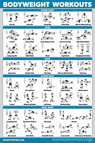 11 Pack - Exercise Poster Set: Dumbbell, Suspension, Kettlebell, Resistance Bands, Stretching, Bodyweight, Barbell, Yoga, Exercise Ball, Muscular System, Medicine Ball (LAMINATED, 18