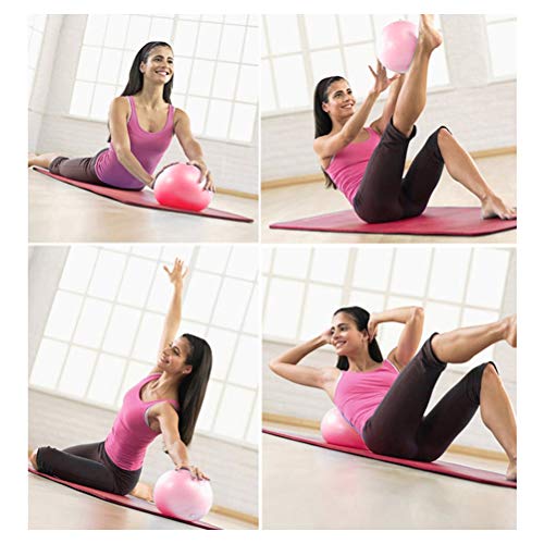 ZHIYE Mini Pilates Ball Yoga Small Exercise Ball Core Fitness Bender, Yoga, Stability, Barre, Training Physical Therapy Anti-Slip Swiss Ball Gym Home