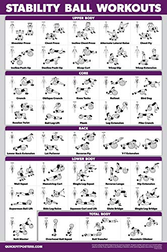 11 Pack - Exercise Poster Set: Dumbbell, Suspension, Kettlebell, Resistance Bands, Stretching, Bodyweight, Barbell, Yoga, Exercise Ball, Muscular System, Medicine Ball (LAMINATED, 18