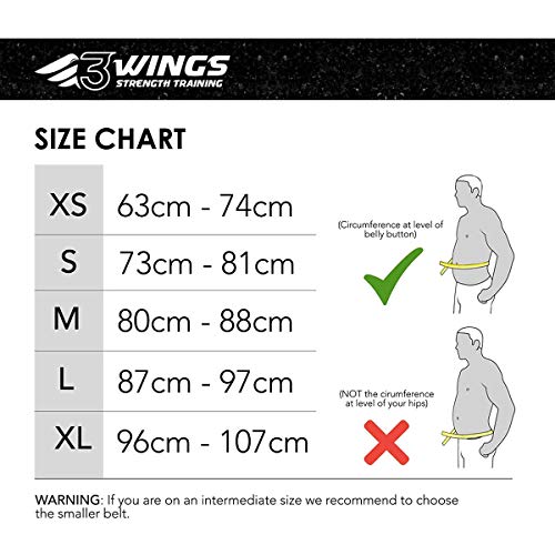 3WINGS Bodybuilding Belt for Gym Training - Back Support - Neoprene Lumber Pain Fitness Exercise - Good for Weight Lifting, Functional Training, Powerlifting (S, Pink)