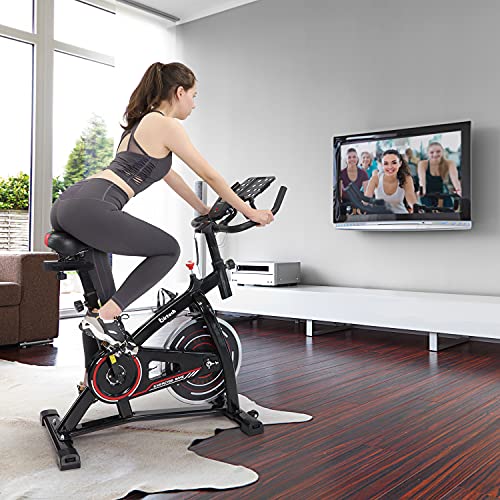 Birtech Exercise Bike Indoor Cycling Fitness Bike Spinning Bike for Home Training Belt Driven 8KG Flywheel with Infinite Resistance, Heart Rate Monitor, Adjustable Handlebars & Seat, LCD Display