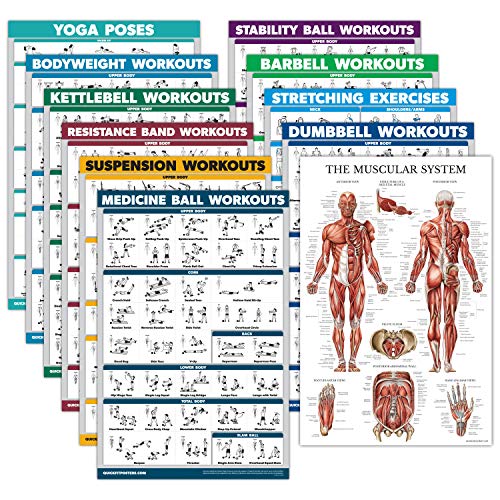 11 Pack - Exercise Poster Set: Dumbbell, Suspension, Kettlebell, Resistance Bands, Stretching, Bodyweight, Barbell, Yoga, Exercise Ball, Muscular System, Medicine Ball (LAMINATED, 18