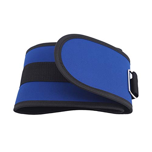 DSMYYXGS Sport Weightlifting Waist Support Belt for Men Safety Gym Fitness Belt Squatting Barbell Dumbbel Training Lumbar Back Support (Color : Blue, Size : Medium)