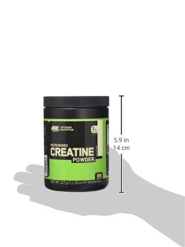 Optimum Nutrition Micronised Creatine Monohydrate formulated for Muscle Development By On Unflavoured, 88 Servings, 317 g