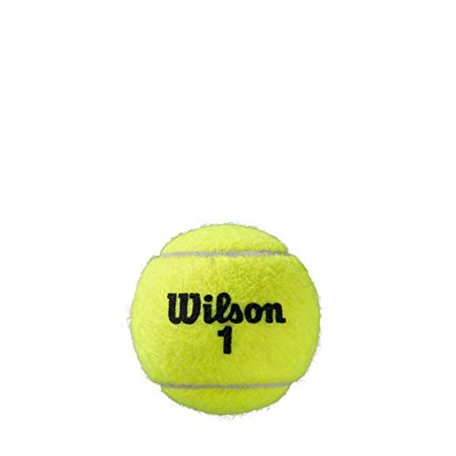 Wilson Unisex-Adult Roland Garros All Court Tennis Ball, Yellow - Gym Store