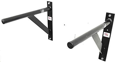 Wall Mounted Dip Bars