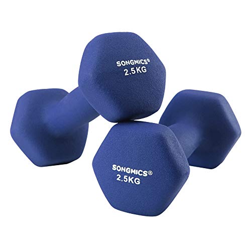 SONGMICS Set of 2 Dumbbells Weights Vinyl Coating Gym and Home Workouts and Non-Slip with Matte Finish 2 x 2.5 kg SYL65BU