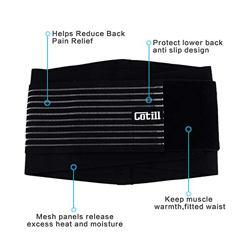 Cotill Lower Back Support Belt - Lumbar Support Brace for Pain Relief and Injury Prevention - Dual Adjustable Straps and Breathable Mesh Panels (L/XL - Waist 83cm to 109cm)