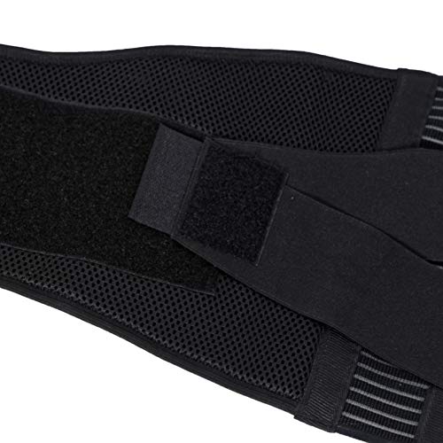 NeoTech Care Adjustable Compression Back Brace Lumbar Support Belt, Black, Size M