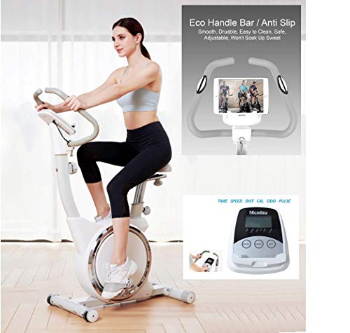 Lose Weight Best Home Exercise Equipment Uk Losing Weight Best Gym