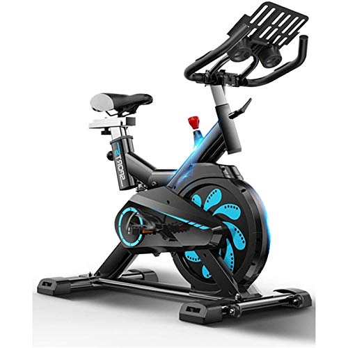 MGIZLJJ Exercise Bike Stationary, Indoor Cycling Bike Trainer High Weight Capacity, Heavy Duty Flywheel with Commercial Standard by
