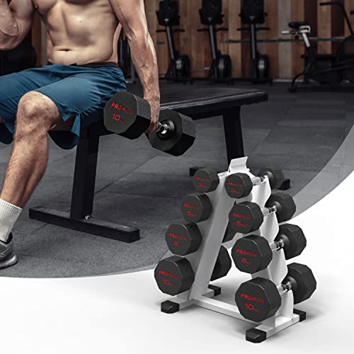 PROIRON Dumbbell Rack Stand Heavy Duty 300kg Load, 4-Tier Steel Weight Rack Stand, A-Frame weight Dumbbell storage Rack, Dumbbell Holder for Home Gym Exercise Fitness Equipment