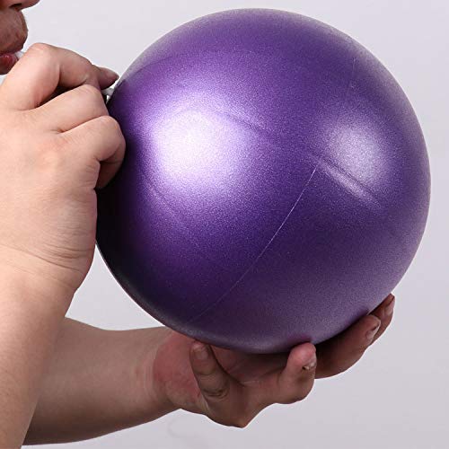 Fortitude Sports Yoga Ball 25cm | Mini Gym Ball for Pilates, Yoga, Fitness, Stability and Physical Therapy (Purple)