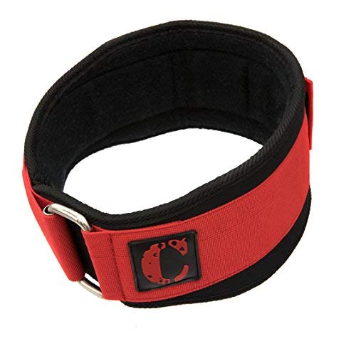 Contraband Black Label 4040 5in Foam Padded Weight Lifting Belt w/Hook & Loop - Perfect Heavy Duty Back Support for Weightlifting Bodybuilding Powerlifting - Men & Women (Red, Medium)