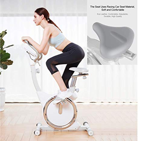 Niceday Magnetic Upright Exercise Bike | Fitness Cardio Workout | Indoor Cycle Training | LCD Digital Monitor | Sporting Equipment for Home Gym | 8 Level Resistance | White