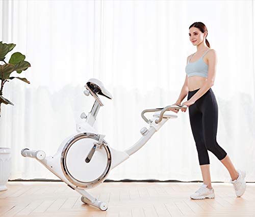 Niceday Magnetic Upright Exercise Bike | Fitness Cardio Workout | Indoor Cycle Training | LCD Digital Monitor | Sporting Equipment for Home Gym | 8 Level Resistance | White