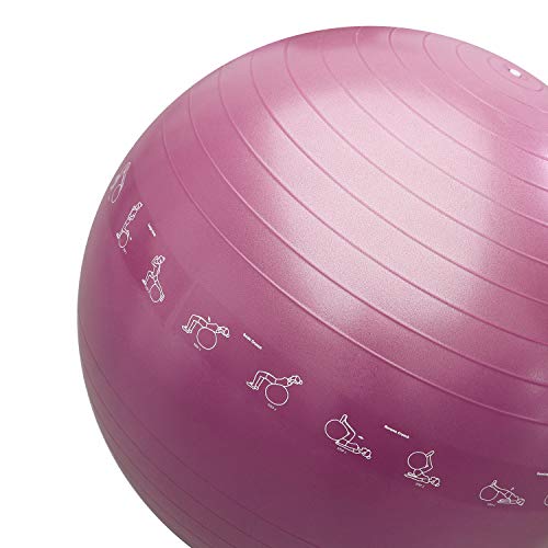 PROIRON Extra Thick Exercise Ball with Postures Shown, Yoga Ball 55cm 65cm 75cm, Anti-Burst Gym Ball, Swiss Ball with Pump for Yoga, Pilates, Fitness