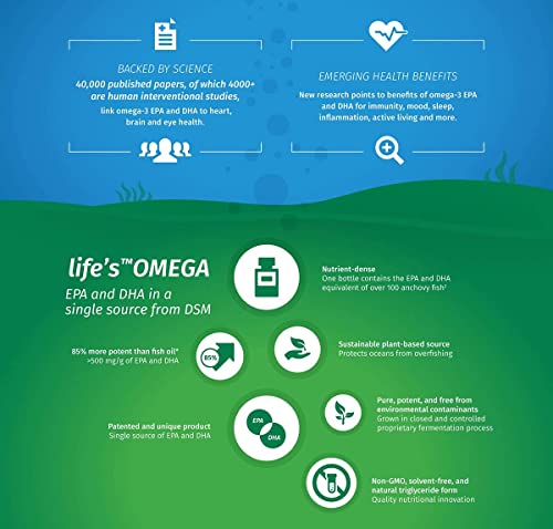 Vegan Omega 3 – EPA & DHA from Algae Oil – Premium Brand – Carrageenan-Free – Sustainable Algal Alternative to Fish Oil – Vegetarian Essential Fatty Acids – UK Made Supplement (120 Count (Pack of 1))