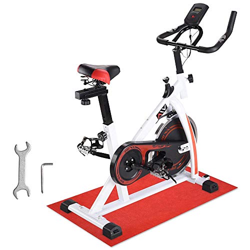 ReaseJoy Flywheel Spin Exercise Bike Indoor Aerobic Training Spining Bicycle Cycling Fitness Cardio Workout Machine