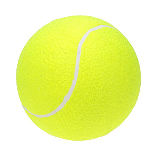 Lixada Tennis Ball 9.5