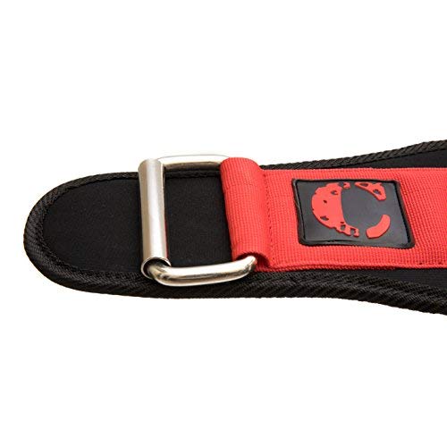 Contraband Black Label 4040 5in Foam Padded Weight Lifting Belt w/Hook & Loop - Perfect Heavy Duty Back Support for Weightlifting Bodybuilding Powerlifting - Men & Women (Red, Medium)