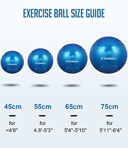 TOMSHOO Exercise Ball, Anti-Burst Gym Ball Yoga Ball With Air Pump Thickened Fitness Ball for Fitness, Pilates, Stability Balance for Physical Fitness, 45cm 55cm 65cm 75cm - Gym Store