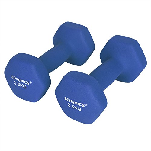 SONGMICS Set of 2 Dumbbells Weights Vinyl Coating Gym and Home Workouts and Non-Slip with Matte Finish 2 x 2.5 kg SYL65BU