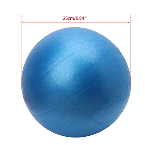 Fortitude Sports Yoga Ball 25cm | Mini Gym Ball for Pilates, Yoga, Fitness, Stability and Physical Therapy (Purple)