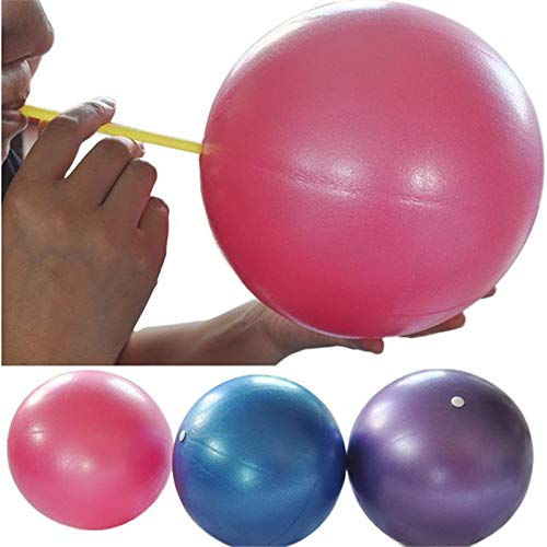 Fortitude Sports Yoga Ball 25cm | Mini Gym Ball for Pilates, Yoga, Fitness, Stability and Physical Therapy (Purple)