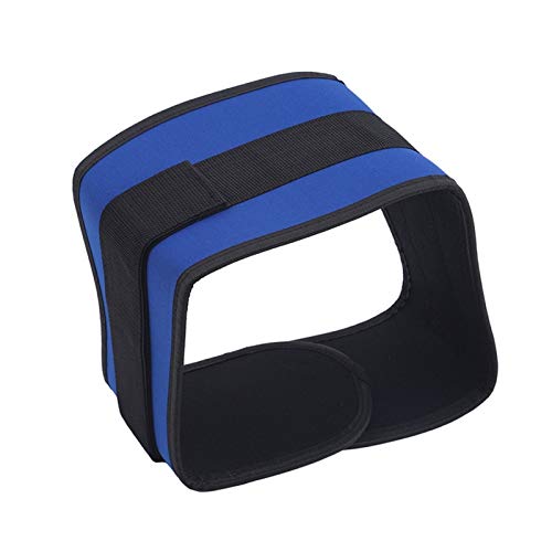 DSMYYXGS Sport Weightlifting Waist Support Belt for Men Safety Gym Fitness Belt Squatting Barbell Dumbbel Training Lumbar Back Support (Color : Blue, Size : Medium) - Gym Store | Gym Equipment | Home Gym Equipment | Gym Clothing