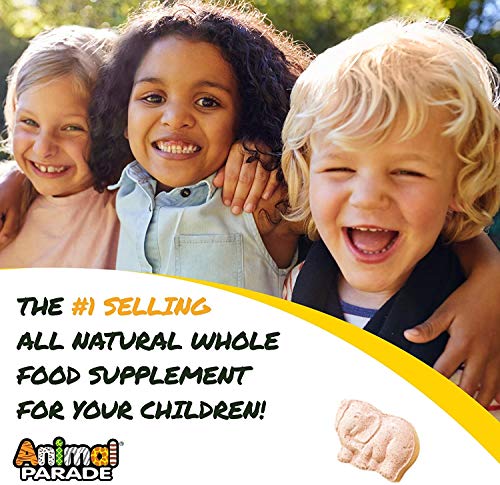 NaturesPlus Animal Parade Tummy Zyme Children’s Chewable Digestive Support - Active Enzymes, Lactase, Live Probiotics and Whole Foods - Vegetarian, Gluten Free - Tropical Fruit Flavour - 90 Animal Shaped Tablets